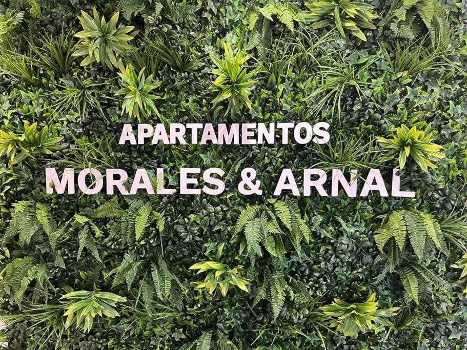 XVIII B Suite Apartamentos Morales & Arnal Ronda Ngoại thất bức ảnh